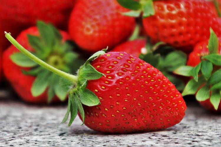 strawberries-3359755_1280 strawberries-3359755_1280