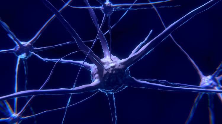 nerve-cell-2213009_1280 nerve-cell-2213009_1280